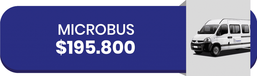 microbus 1 1024x304 1